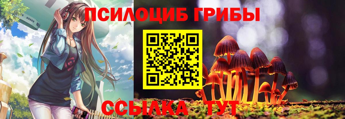 Сердобск  Псилоцибиновые грибы Magic Shrooms  сколько стоит  Вход с VPN  Галлюциногенные грибы Cubensis 